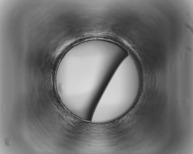 X0000102791214200808180946