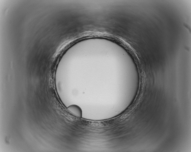 X0000102791215200808180946