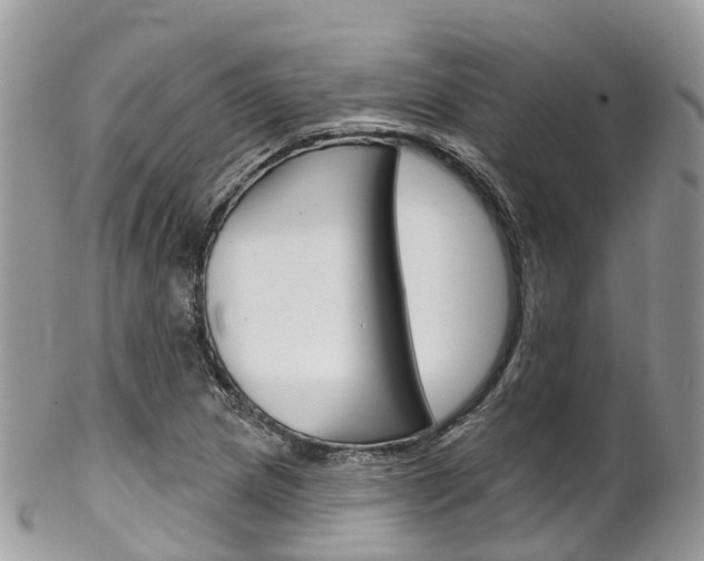 X0000102791217200808180946