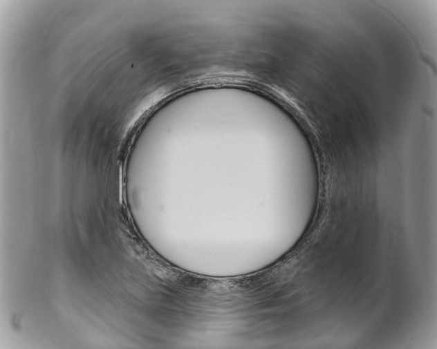 X0000102791219200808180946