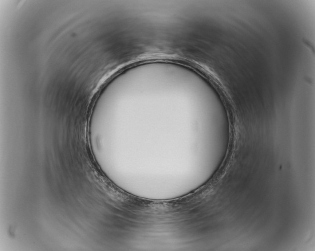 X0000102791220200808180946