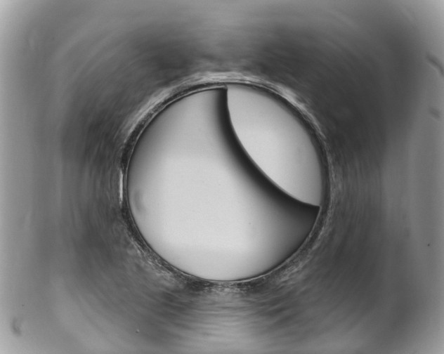 X0000102791221200808180946