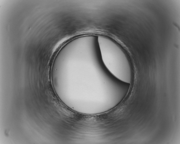 X0000102791222200808180946