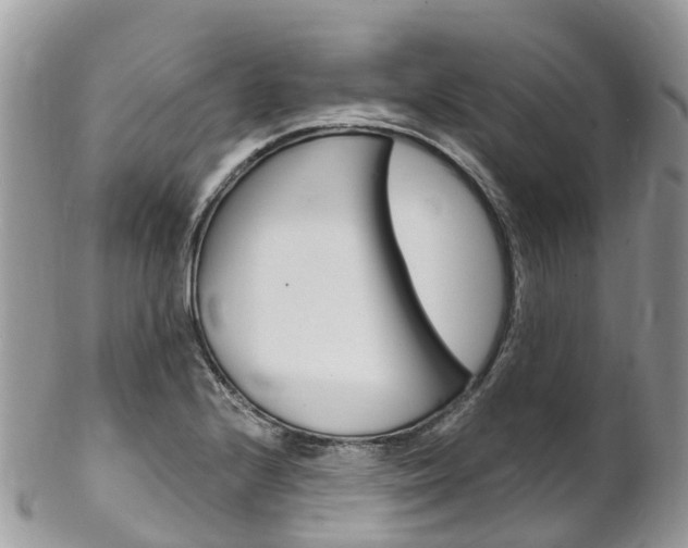 X0000102791224200808180946
