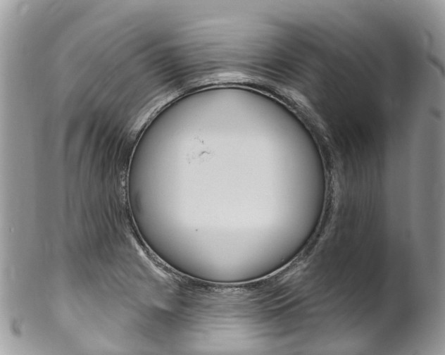 X0000102791225200808180946