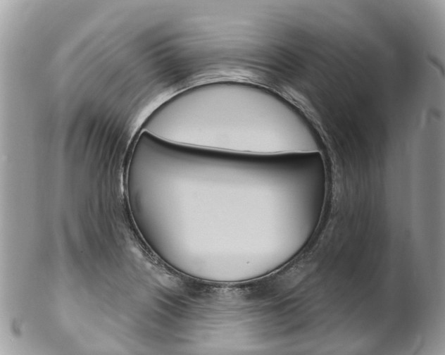 X0000102791226200808180946