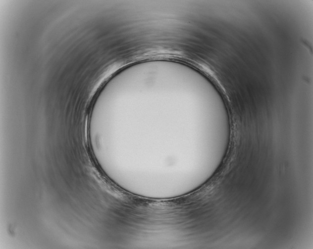 X0000102791227200808180946