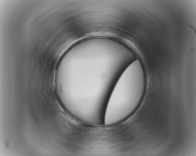 X0000102791228200808180946