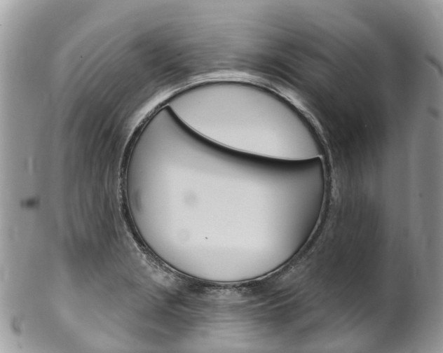 X0000102791229200808180946