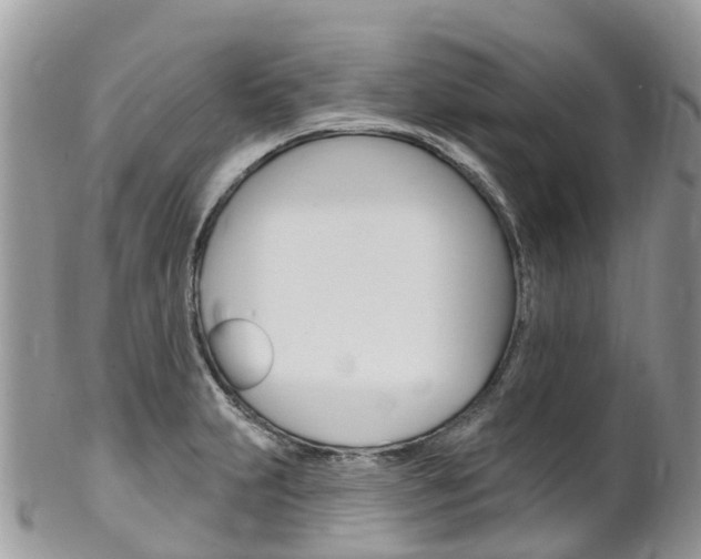 X0000102791231200808180946