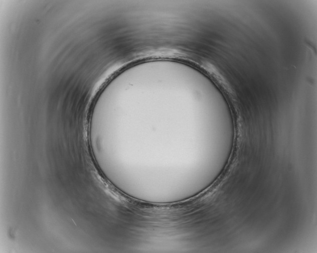 X0000102791232200808180946