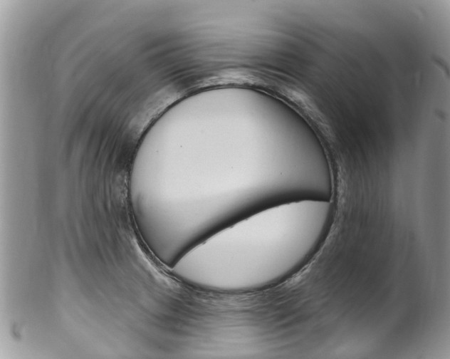X0000102791233200808180946