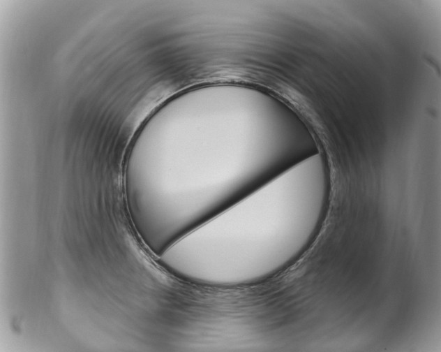 X0000102791234200808180946