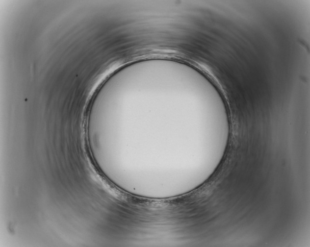 X0000102791235200808180946