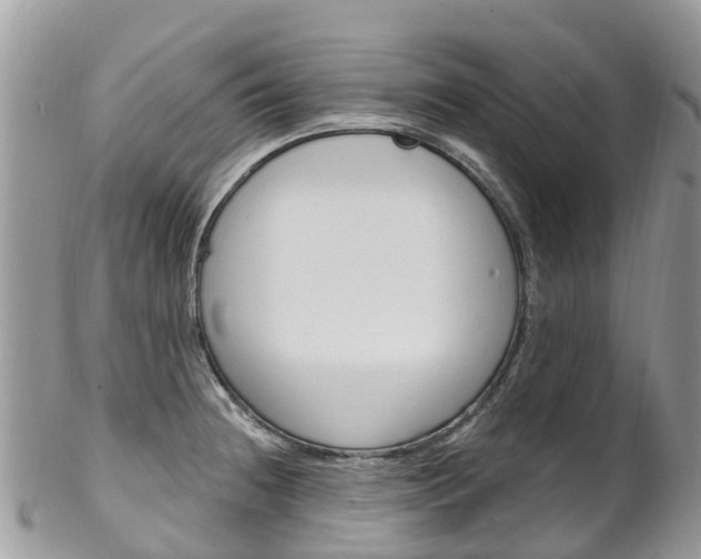 X0000102791236200808180946