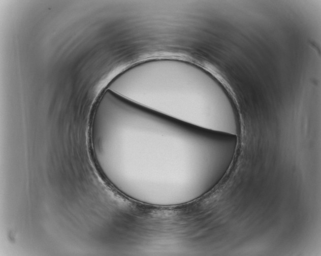 X0000102791237200808180946