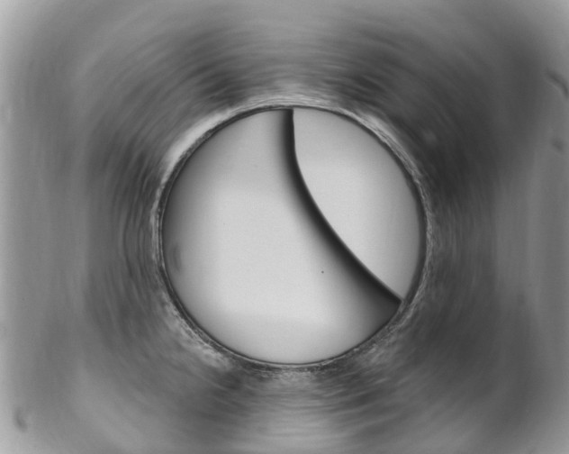 X0000102791238200808180946