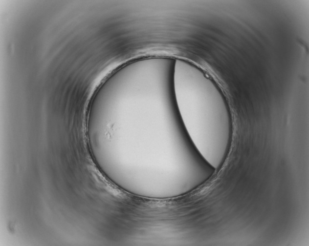 X0000102791240200808180947