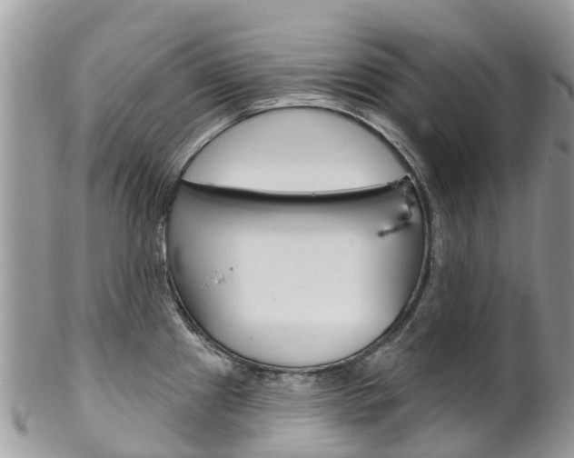 X0000102791241200808180947