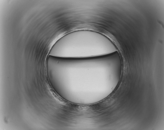 X0000102791242200808180947