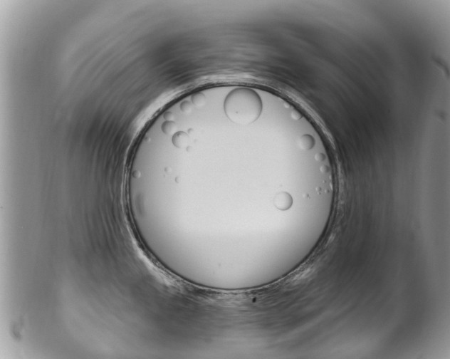 X0000102791245200808180947