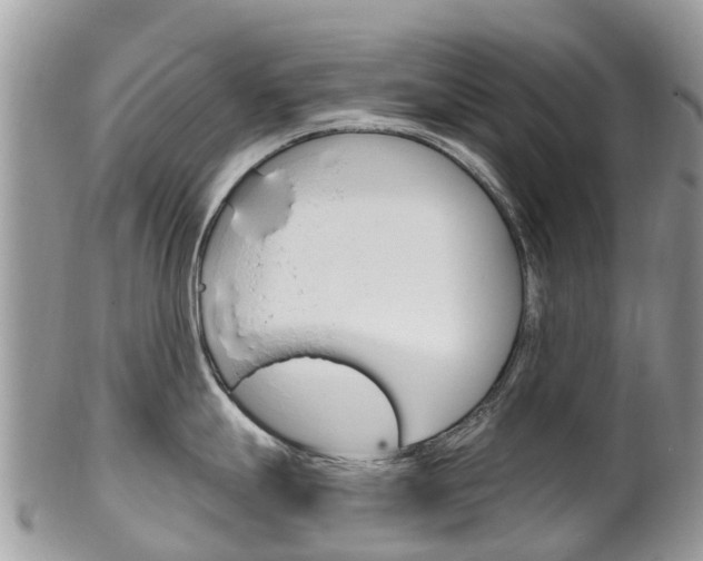 X0000102791247200808180947