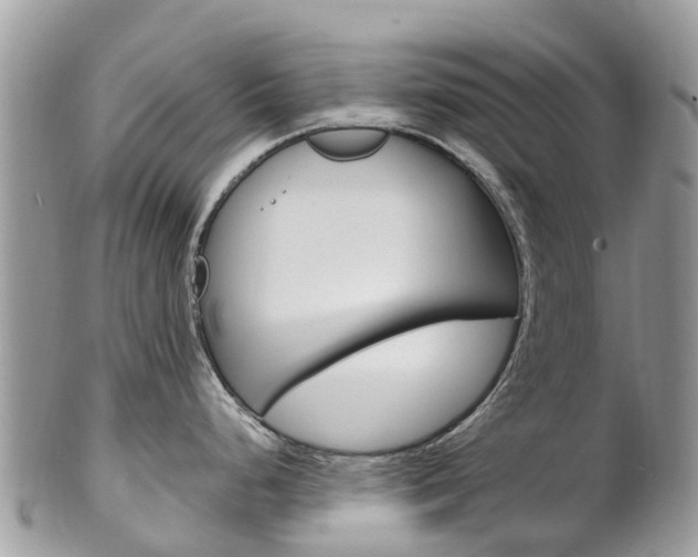 X0000102791248200808180947