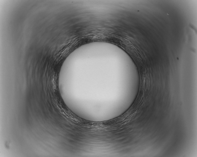 X0000102791250200808180946