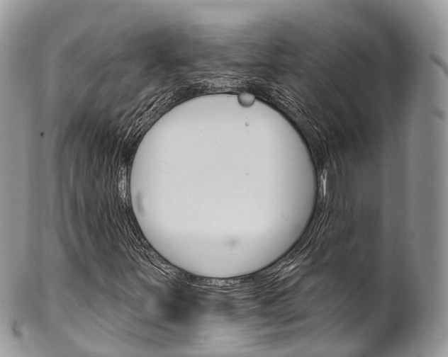 X0000102791251200808180946