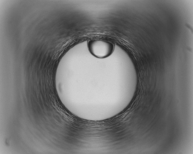 X0000102791252200808180946
