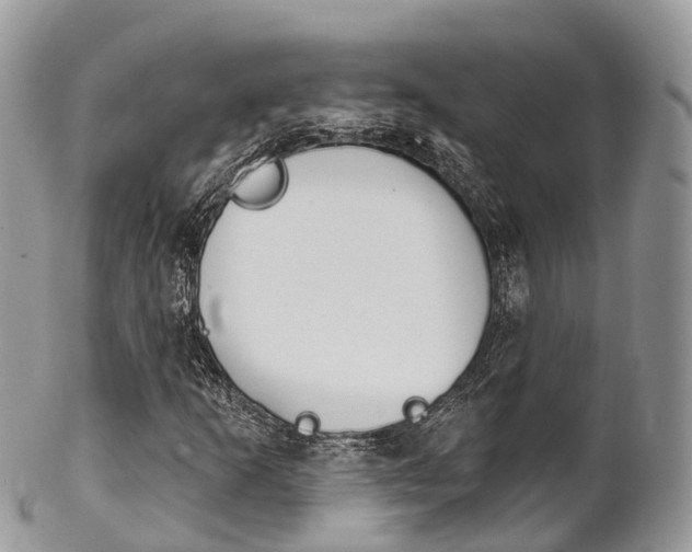 X0000102791253200808180946