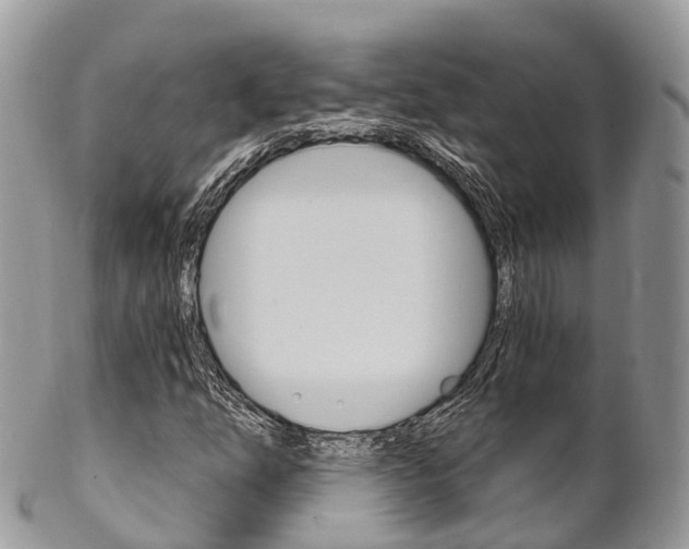 X0000102791254200808180946