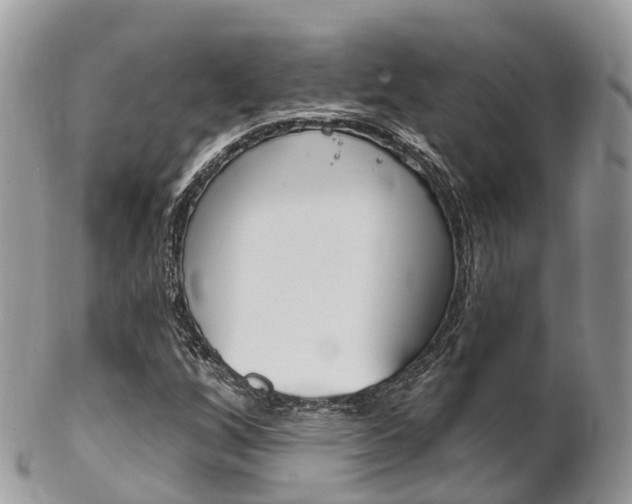 X0000102791256200808180946