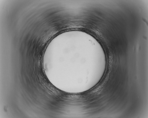 X0000102791257200808180946