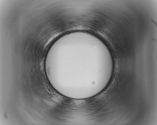 X0000102791258200808180946