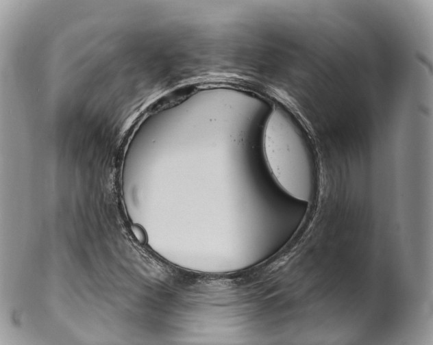X0000102791260200808180946
