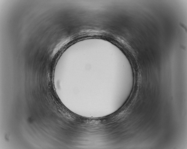 X0000102791261200808180946