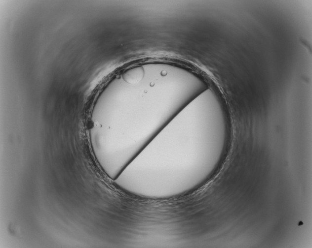 X0000102791263200808180946