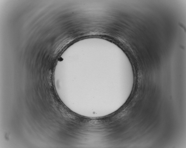 X0000102791265200808180946