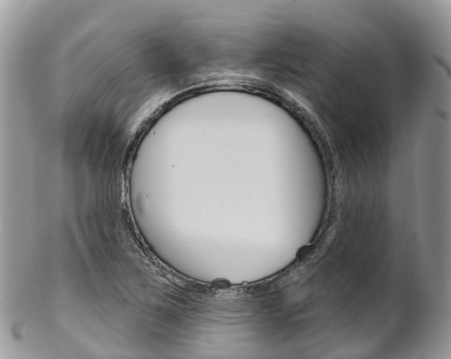 X0000102791267200808180946