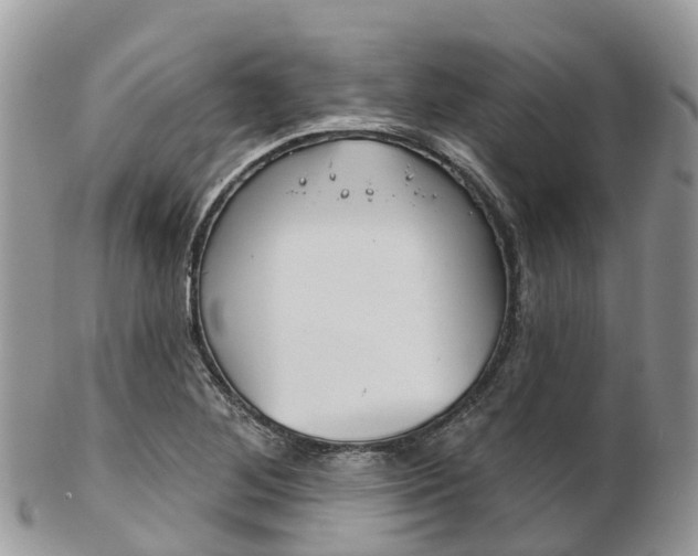 X0000102791268200808180946