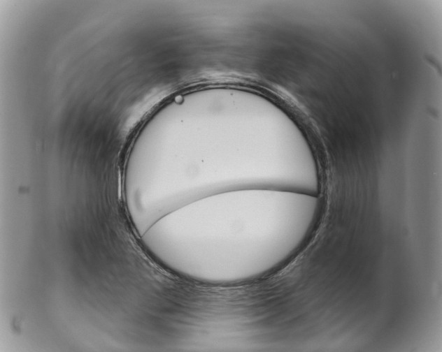 X0000102791269200808180946