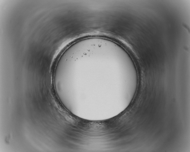 X0000102791270200808180946