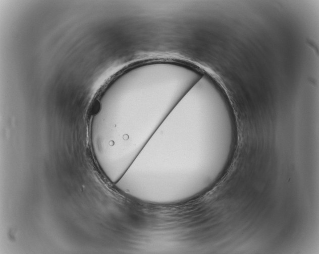 X0000102791271200808180946