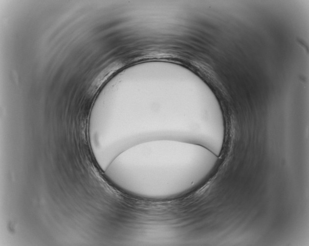 X0000102791273200808180946