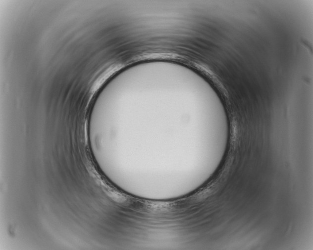 X0000102791274200808180946