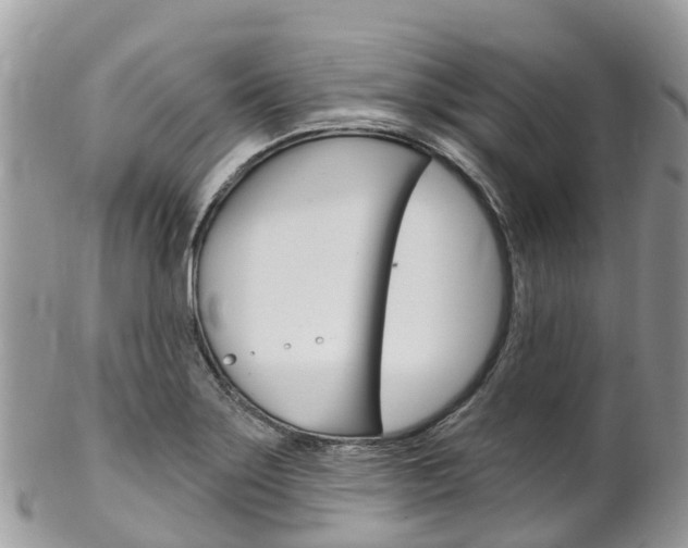 X0000102791275200808180946
