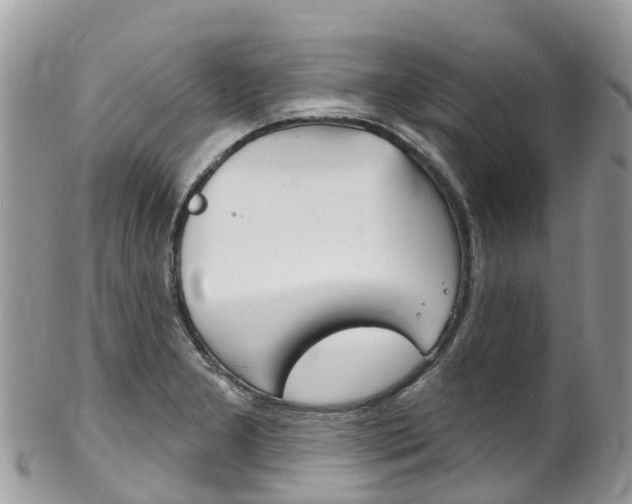 X0000102791277200808180946