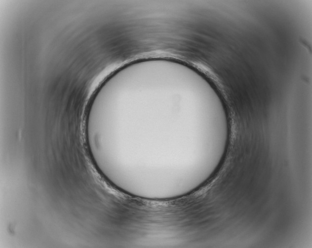 X0000102791278200808180946