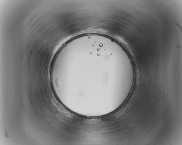 X0000102791280200808180946